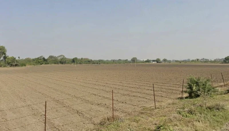 RQJM+F8F, Kharwa Khedi, Madhya Pradesh 453111, India preview 2