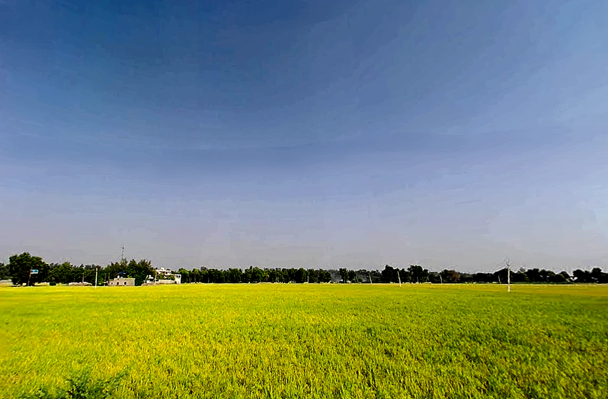 Jiwan Nagar, Haryana 125075, India