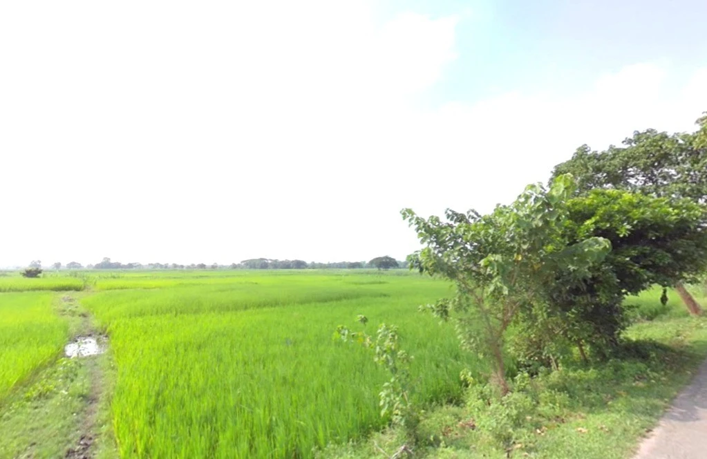 Jaora, Madhya Pradesh 457226, India