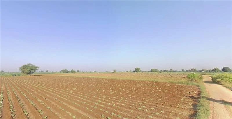 HFW8+6J Sukhpur, Gujarat, India