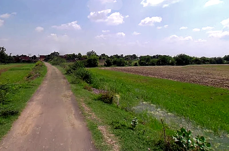 WWJP+82 Debiganj, Uttar Pradesh, India preview 2