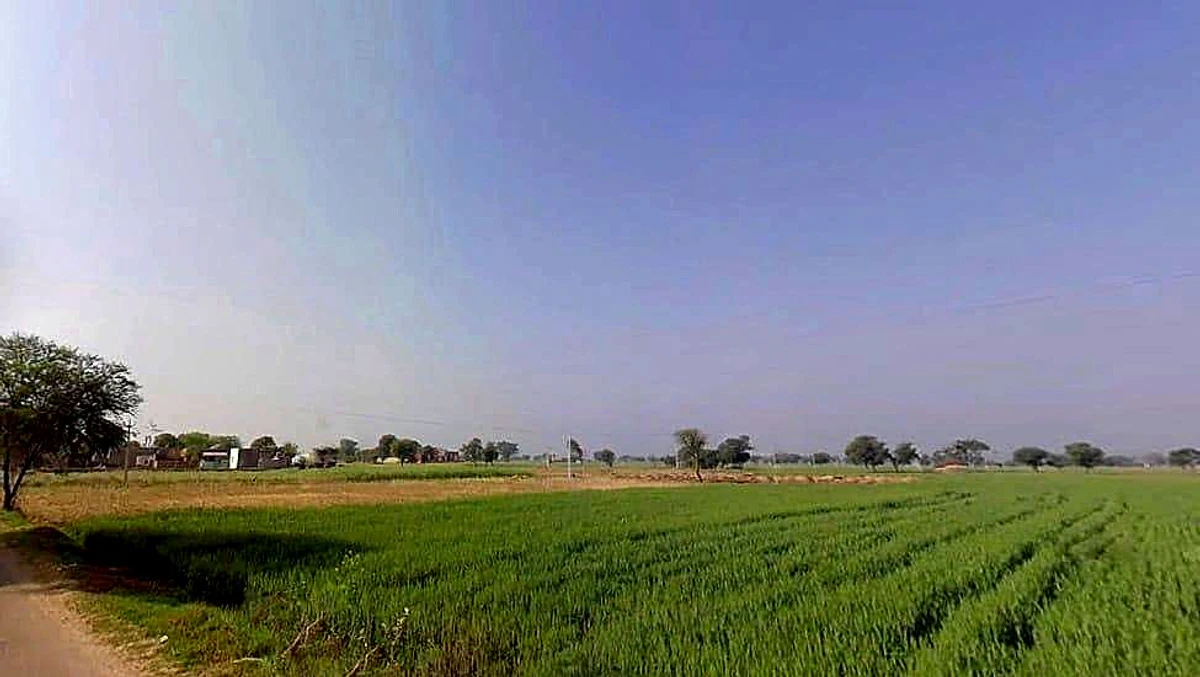 Naswari, Rajasthan 301026, India