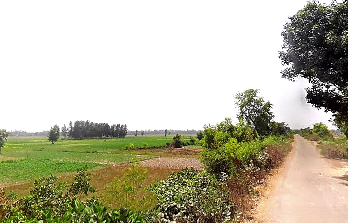 Agricultural Land in Rudauli /saidpur , Ayodhya