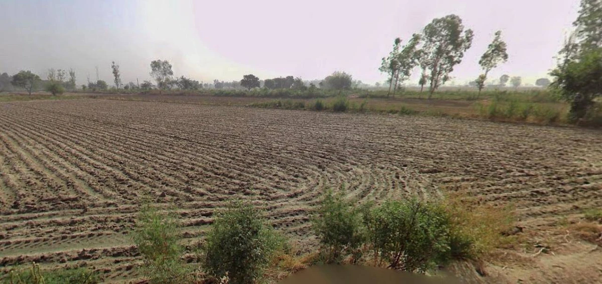 AGRICULTURAL in GUWAHATI, kamrup-metropolitan