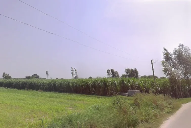 Moradabad, Uttar Pradesh, India preview 2