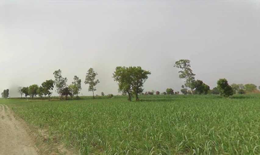 Makhdumpur, Uttar Pradesh, India