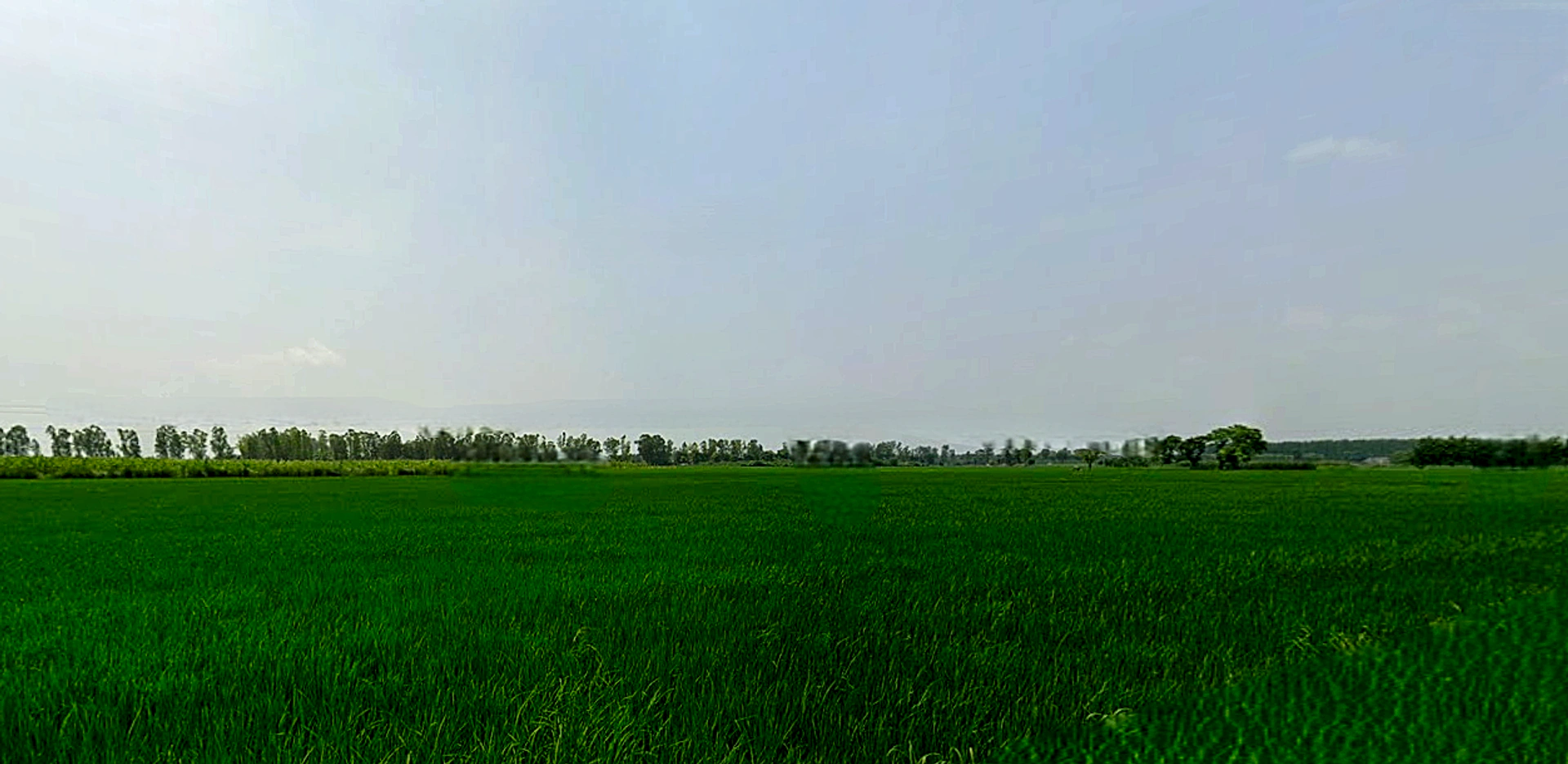 Morinda - Chunni Rd, Bhateri, Punjab, India