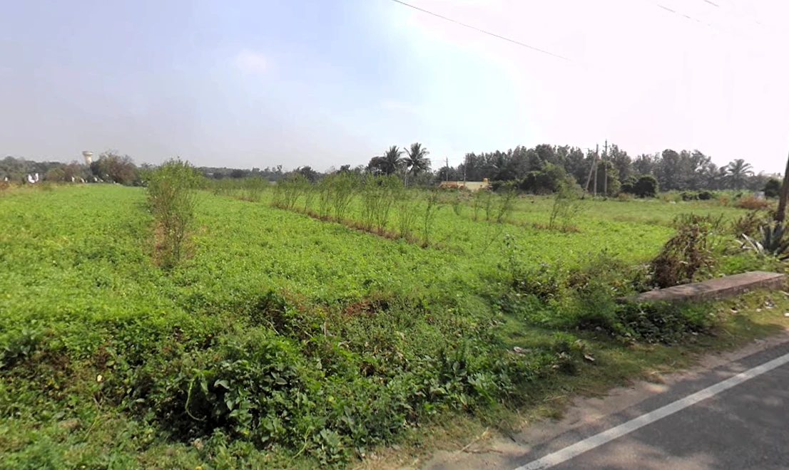 Chikkakanya, Karnataka 571311, India