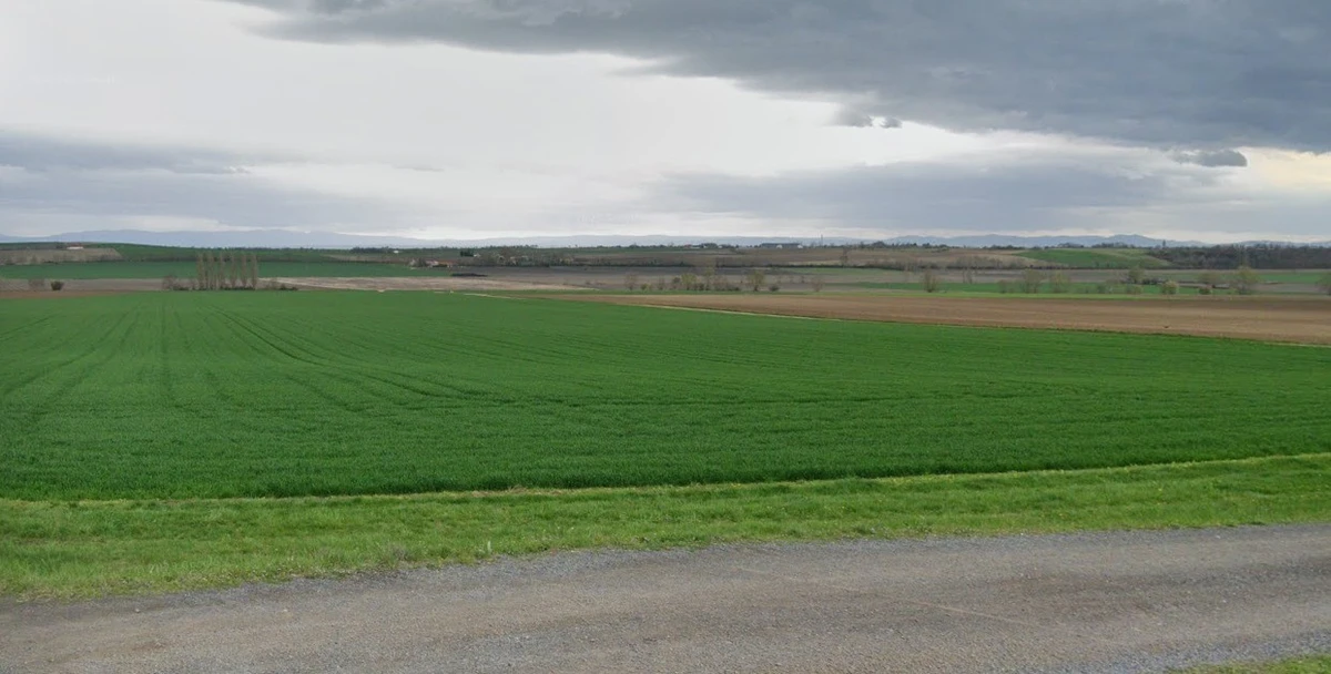 Rania, Uttar Pradesh, India