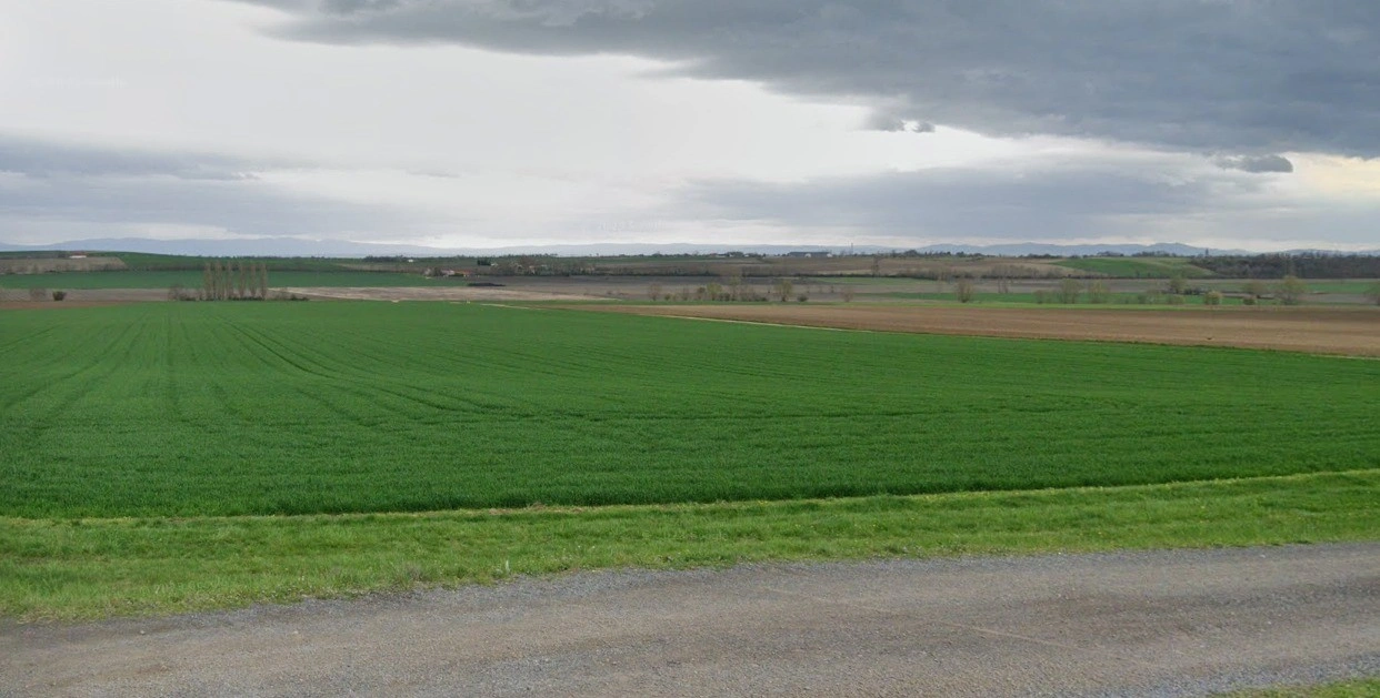 Rania, Uttar Pradesh, India