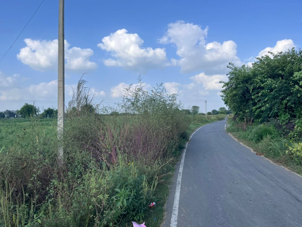 WH3F+G74, Khedaro Ki Dhani, Rajasthan 333022, India