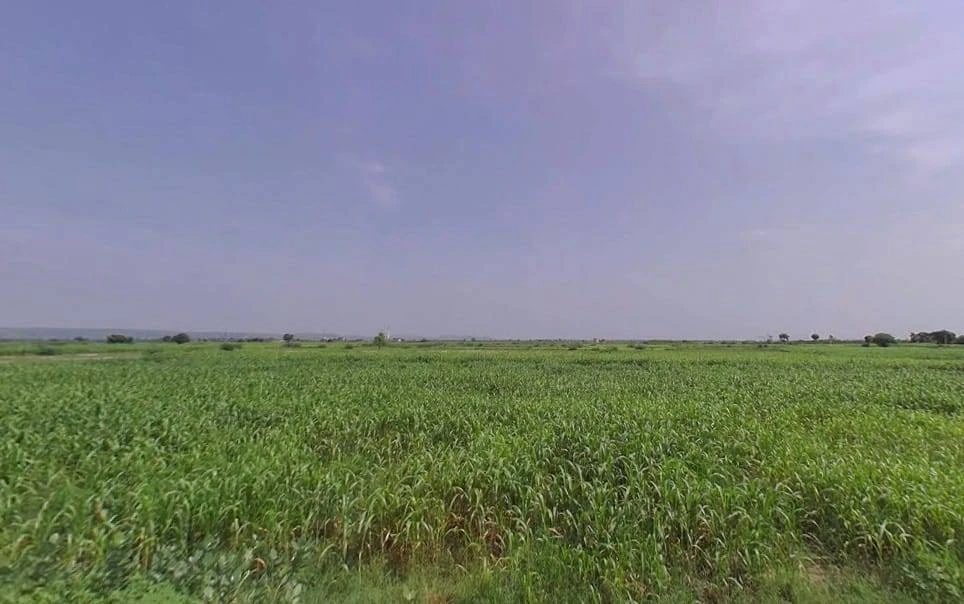 Pahari, Rajasthan, India