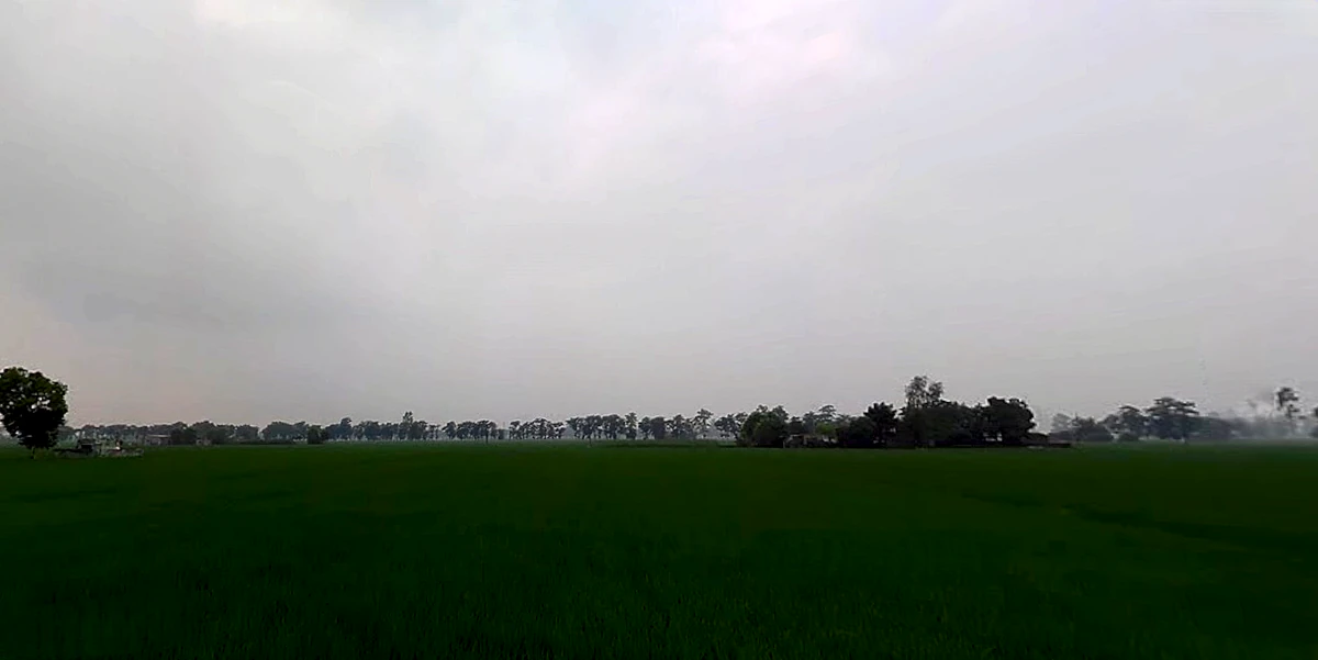 Shankar, Punjab 144042, India