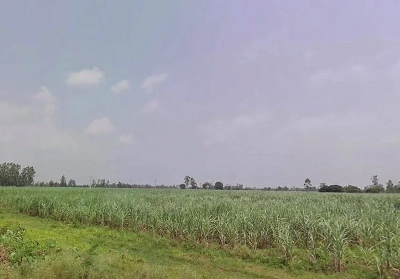 7772+J8C, Hitauta, Hitauti, Uttar Pradesh 242405, India preview 2