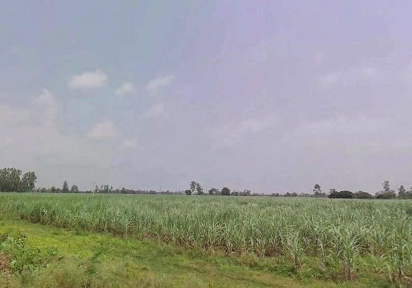 7772+J8C, Hitauta, Hitauti, Uttar Pradesh 242405, India
