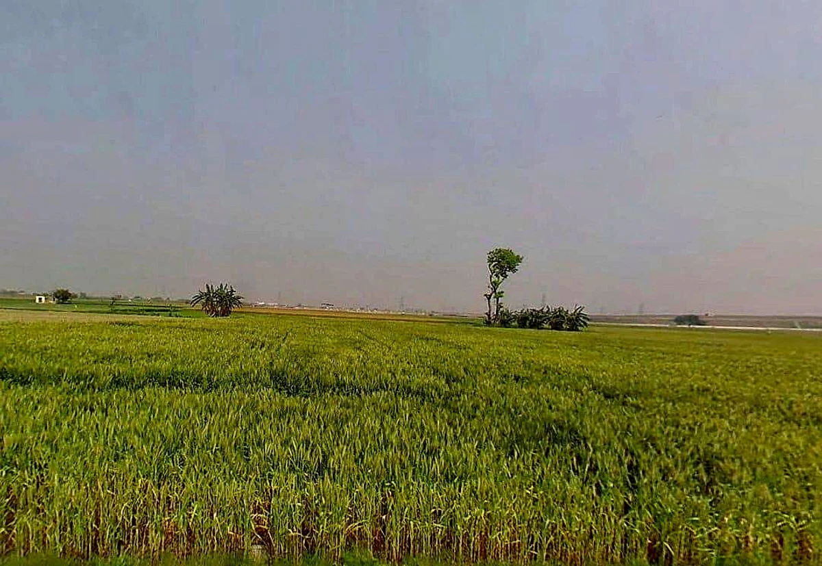 6QRQ+2Q, Bargaon, Rajasthan 324008, India