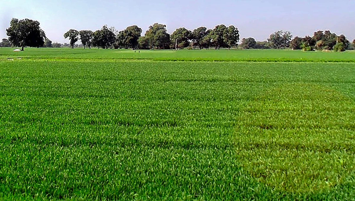 Tonk Khurd, Madhya Pradesh 455116, India