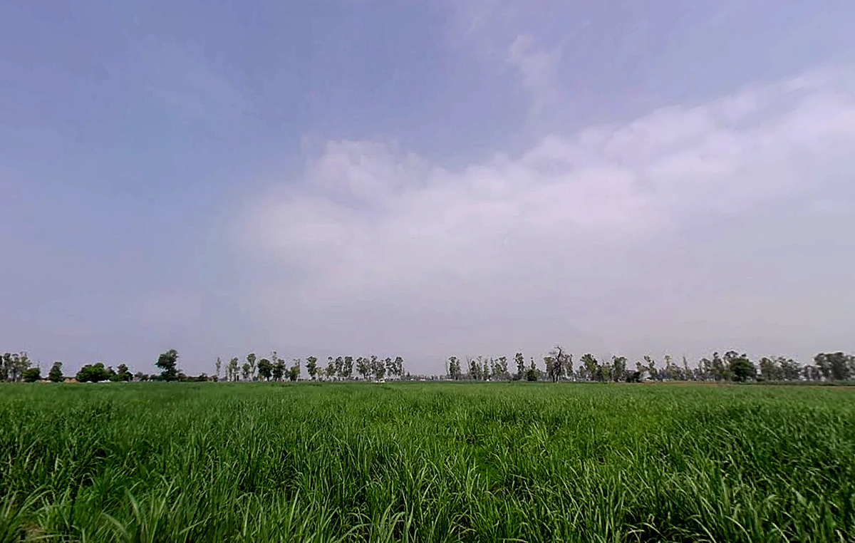 Lukhi, Haryana 136119, India