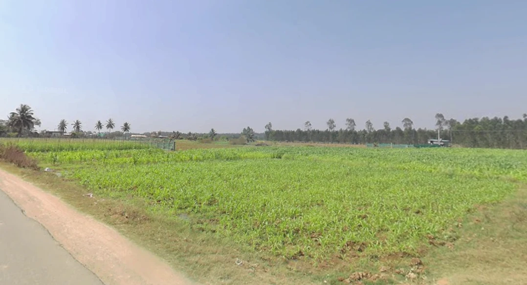 Krishnarajanagara, Karnataka 571602, India