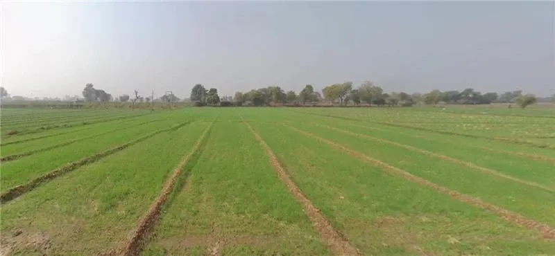Industrial Land in Ullamco exercitation, Amritsar