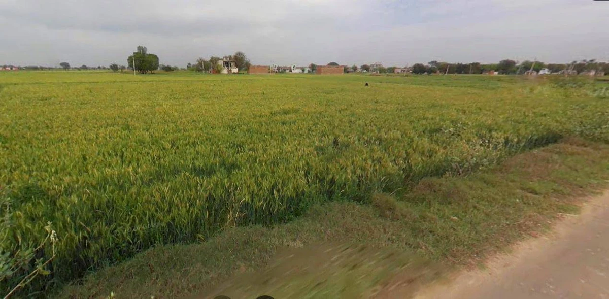 Lucknow, Uttar Pradesh, India