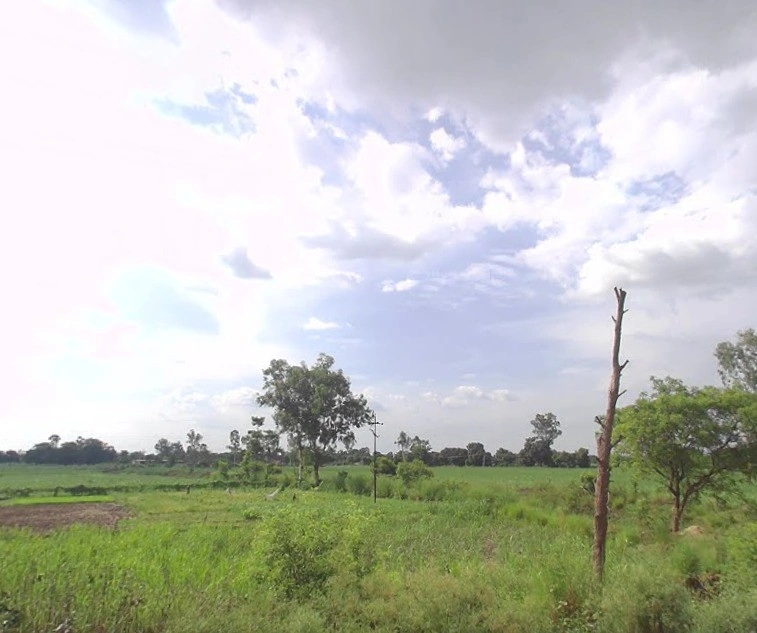 Lakhimpur, Uttar Pradesh 262701, India