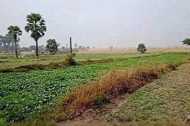 5394+M25, Gangta, Jhakhar, Bihar 811311, India