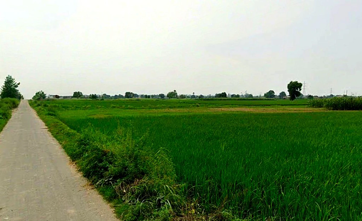 VGPR+436, Bemetara, Gopal Bhoyina, Chhattisgarh 491337, India