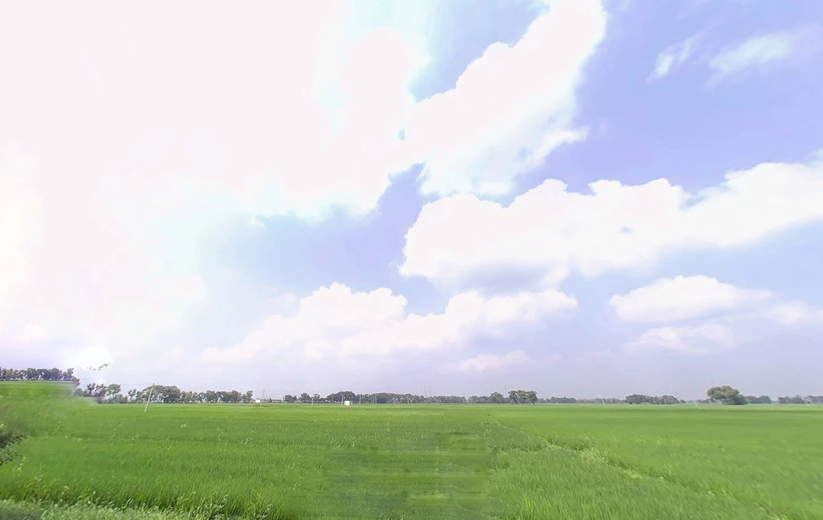 Bihta Chowk, Bihar 801103