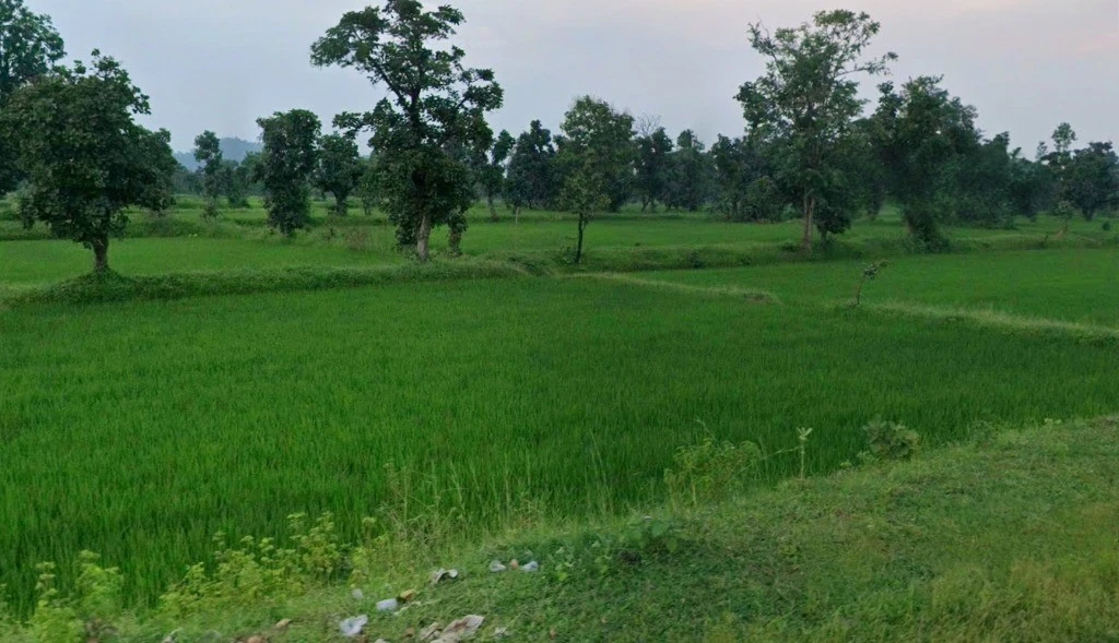 Kurud, Chhattisgarh 493663, India