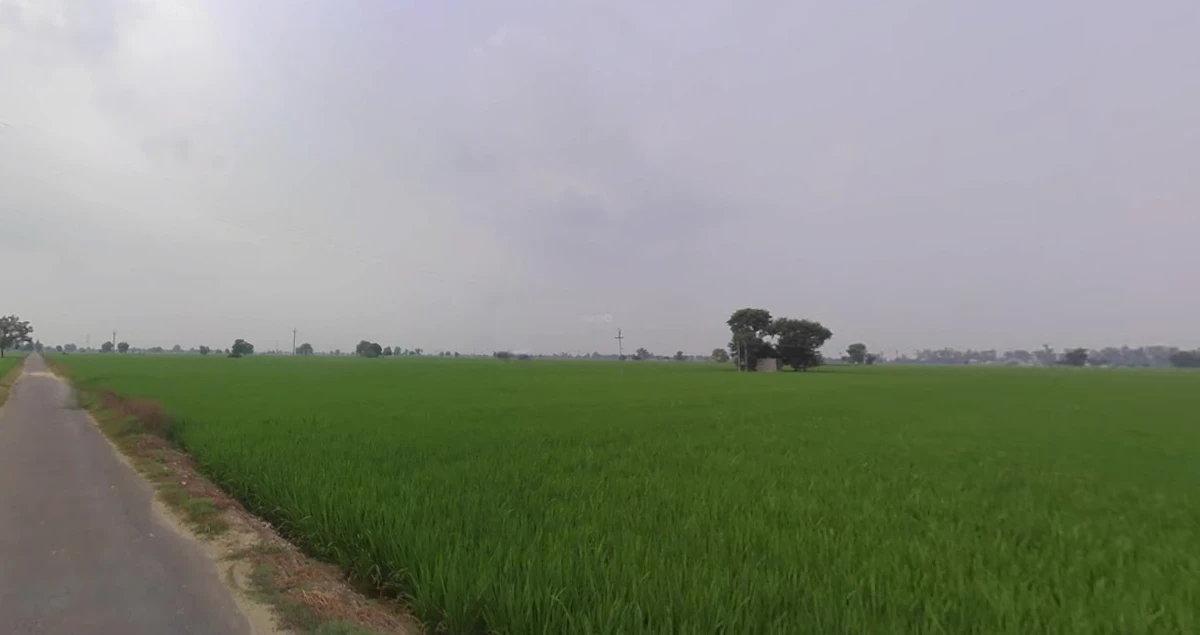 8Q9R+35 Rajkot, Gujarat, India