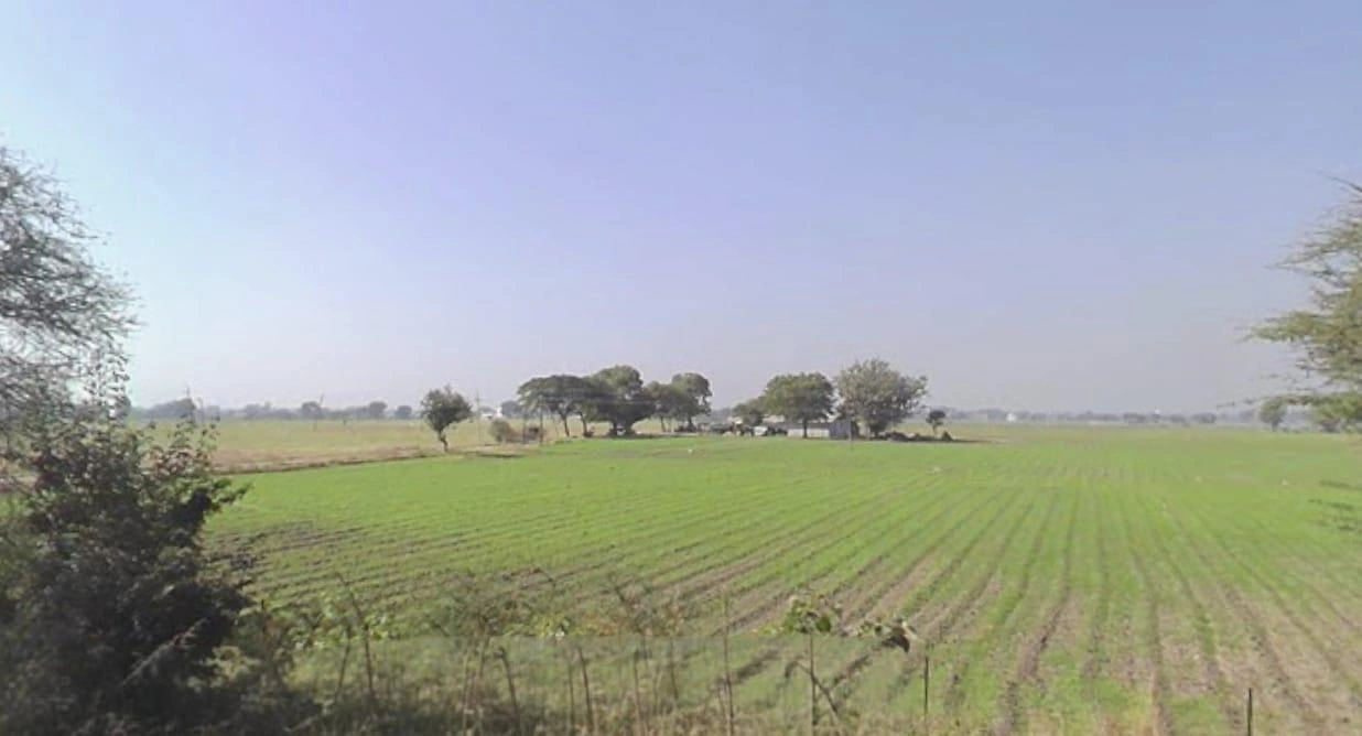 VVM4+5MH, Solsinda, Madhya Pradesh 453551, India