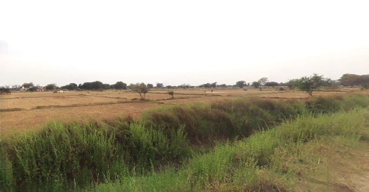 Chandausi, Uttar Pradesh 244412, India