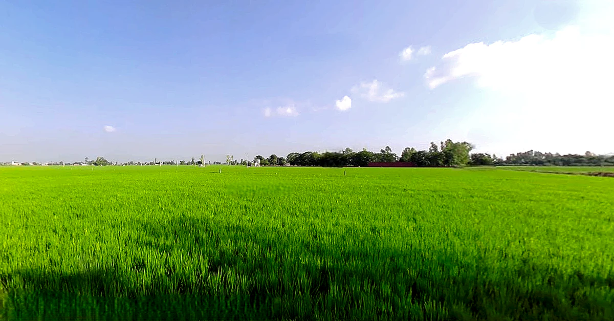 Balbehra, Punjab 147101, India