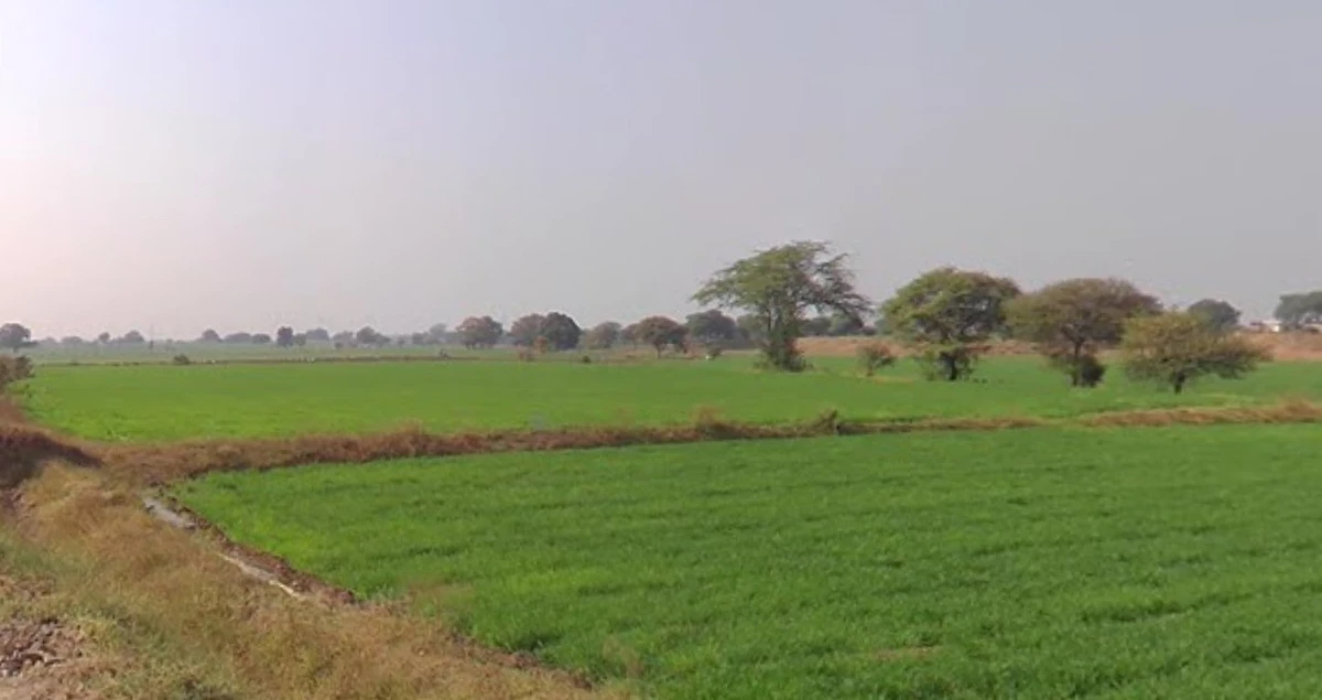 Agricultural Land in Pithampur , Dhar