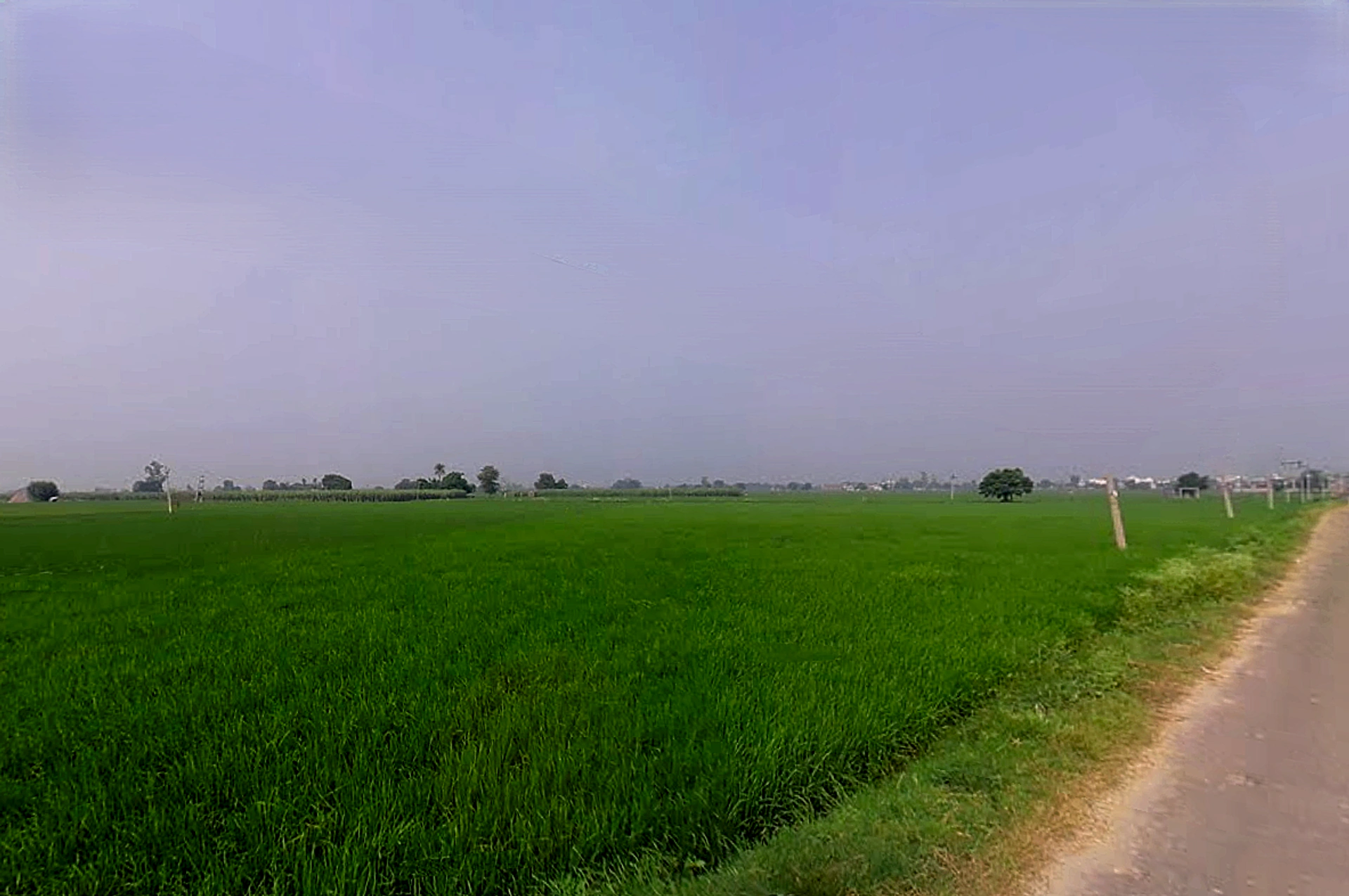 Sandhir, Haryana 132117, India