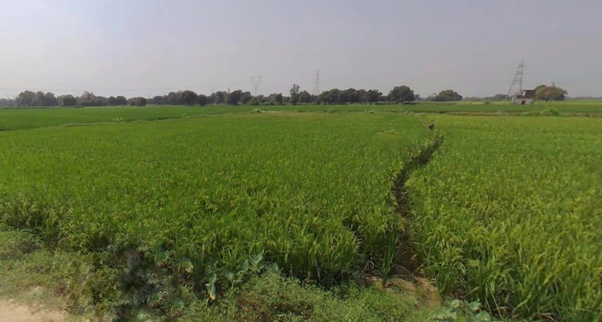 Jaisalmer, Rajasthan 345001, India