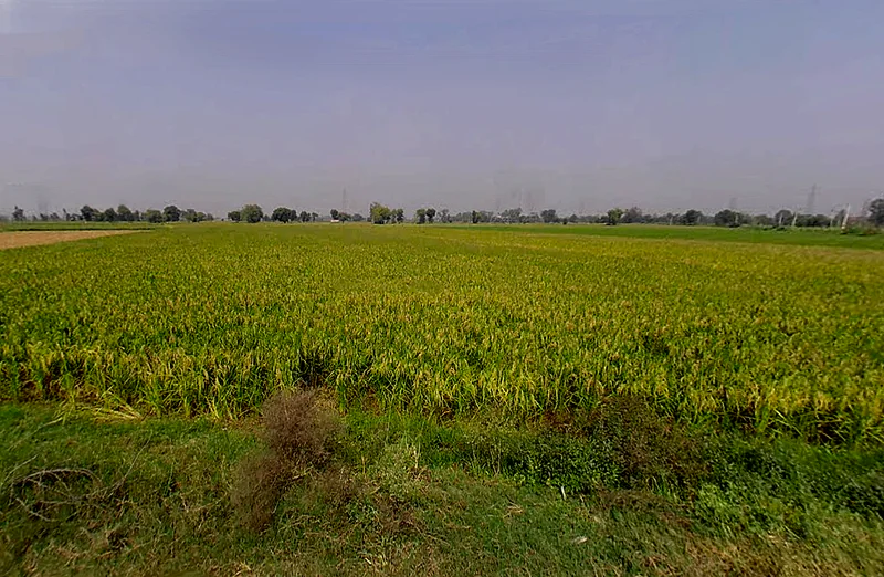 Ranwari, Uttar Pradesh 281401, India preview 3