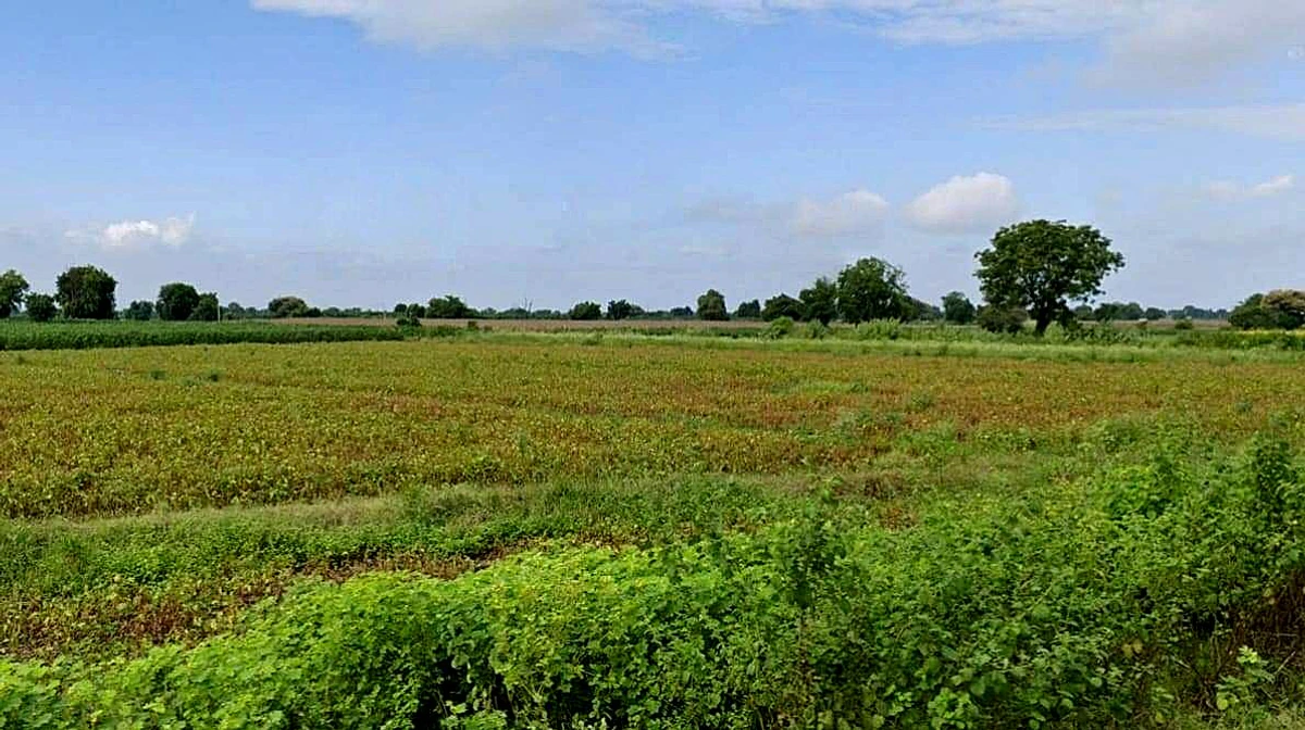 Rajapur, Madhya Pradesh 475661, India