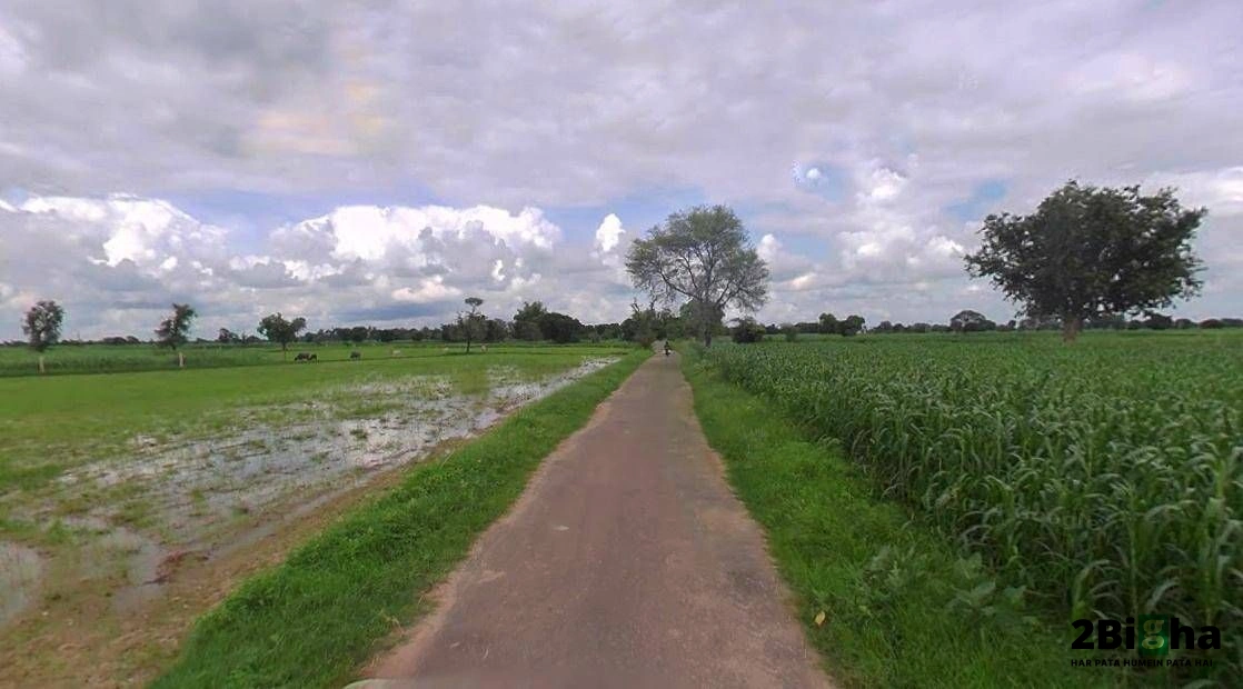 Muskara, Uttar Pradesh 210506, India