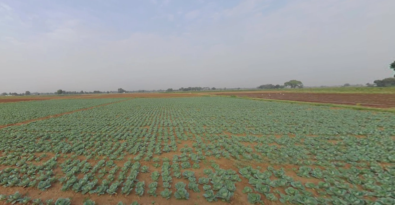 Viramgam, Gujarat 382150, India