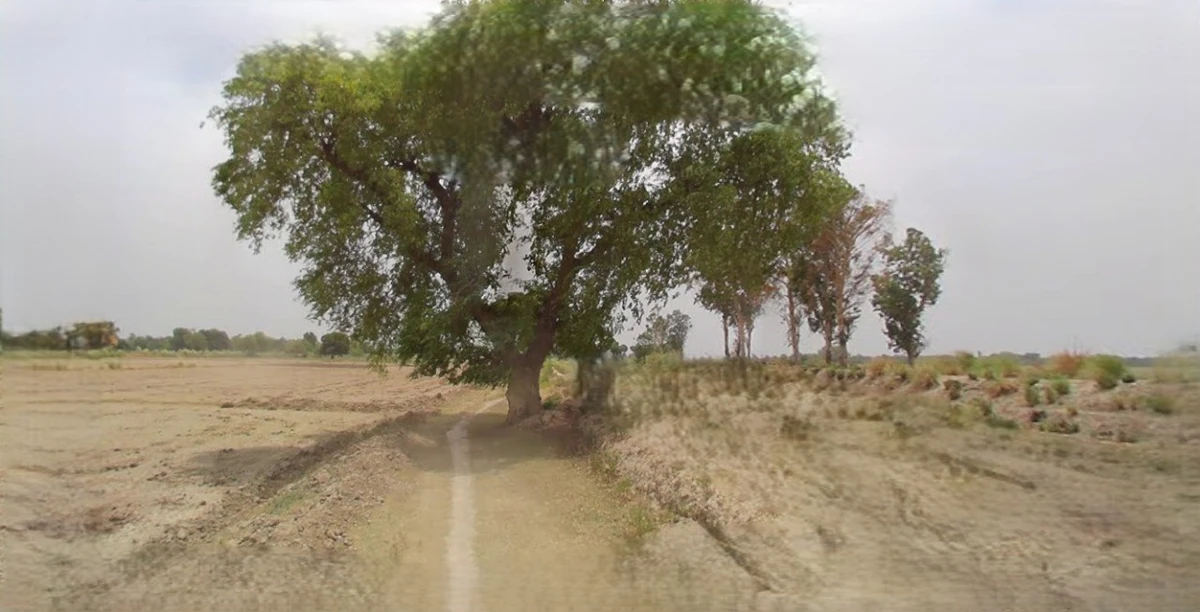 Bikaner, Rajasthan, India