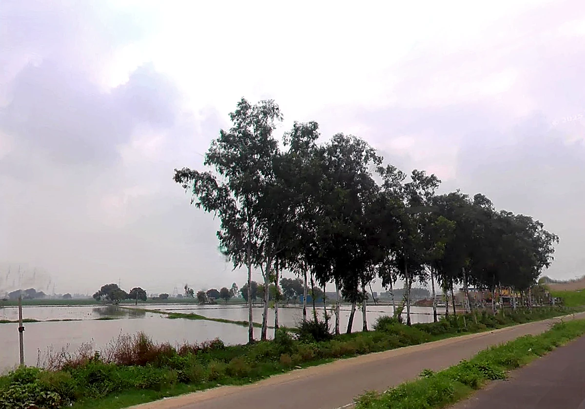 WW27+W9P, Samana Bahu, Haryana 132117, India