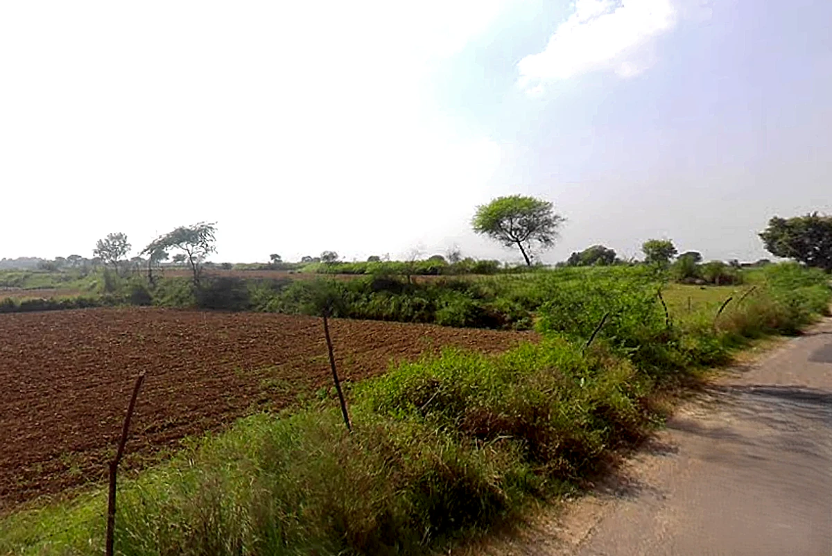 Nibhana, Uttar Pradesh, India