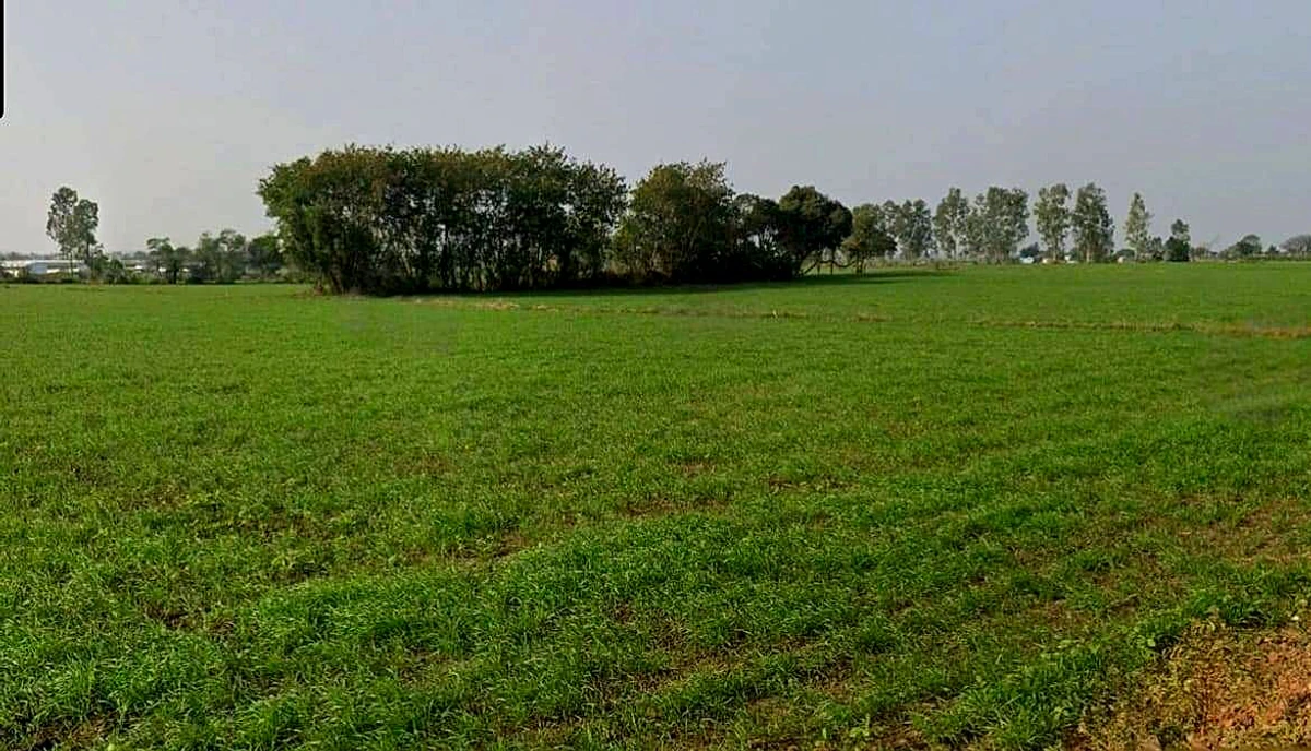 Shujalpur, Madhya Pradesh 465333, India