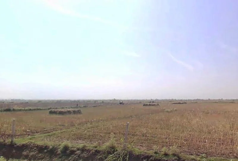 3VCF+VG Ghas, Rajasthan, India