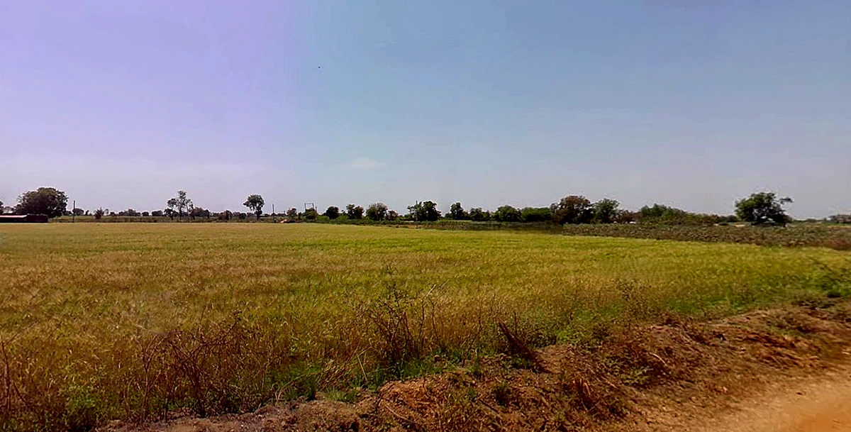 Fojivada, Gujarat, India