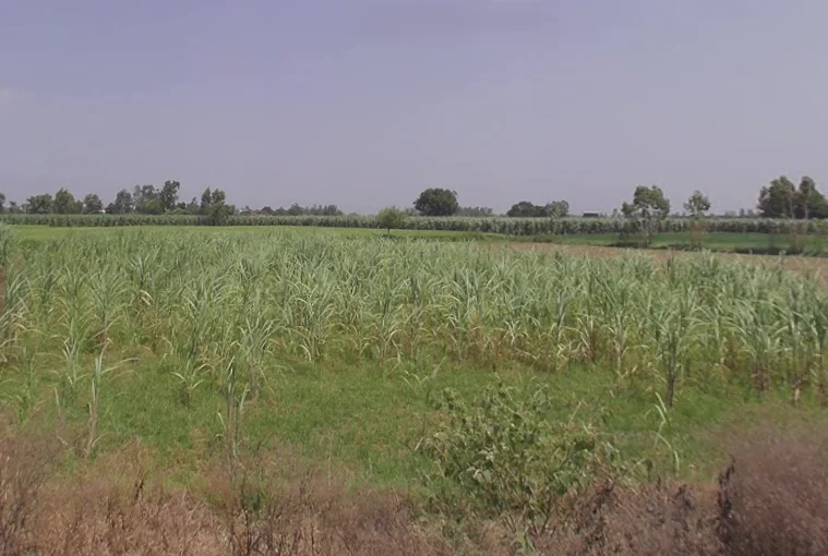 Moradabad, Uttar Pradesh, India preview 2