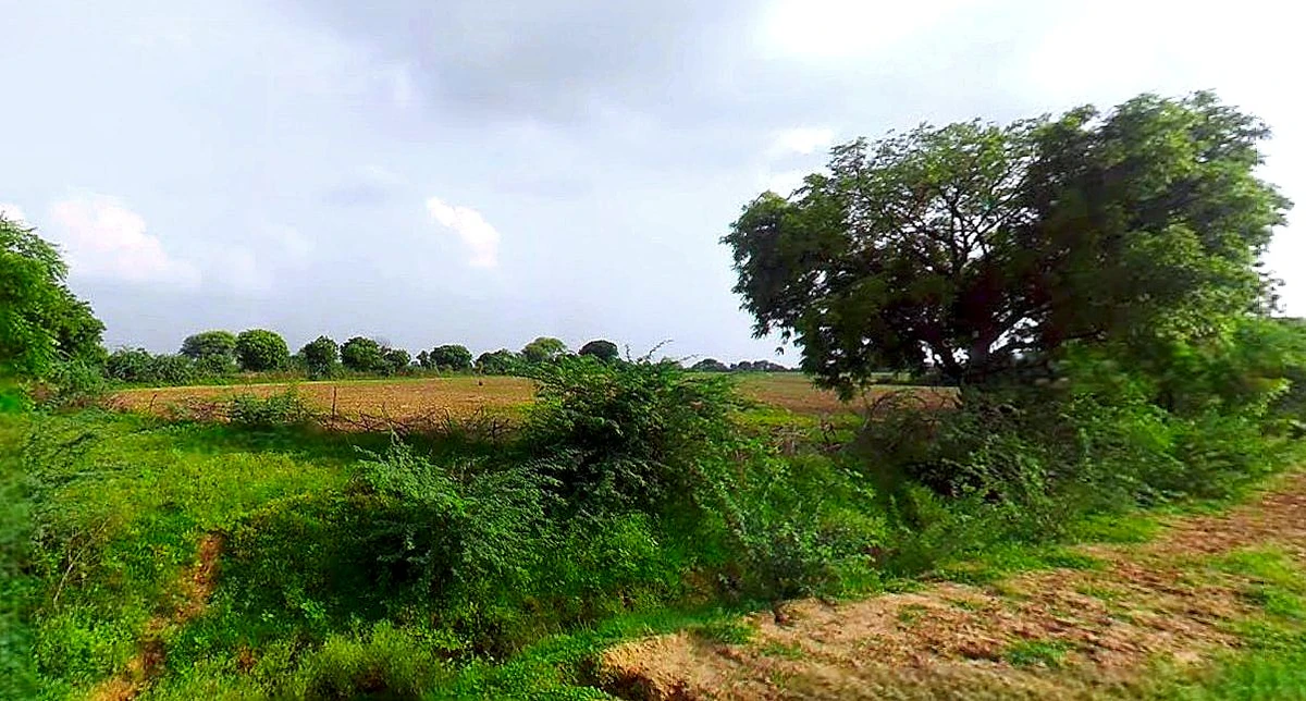 Agricultural Land in Suratgarh, Sri-ganganagar
