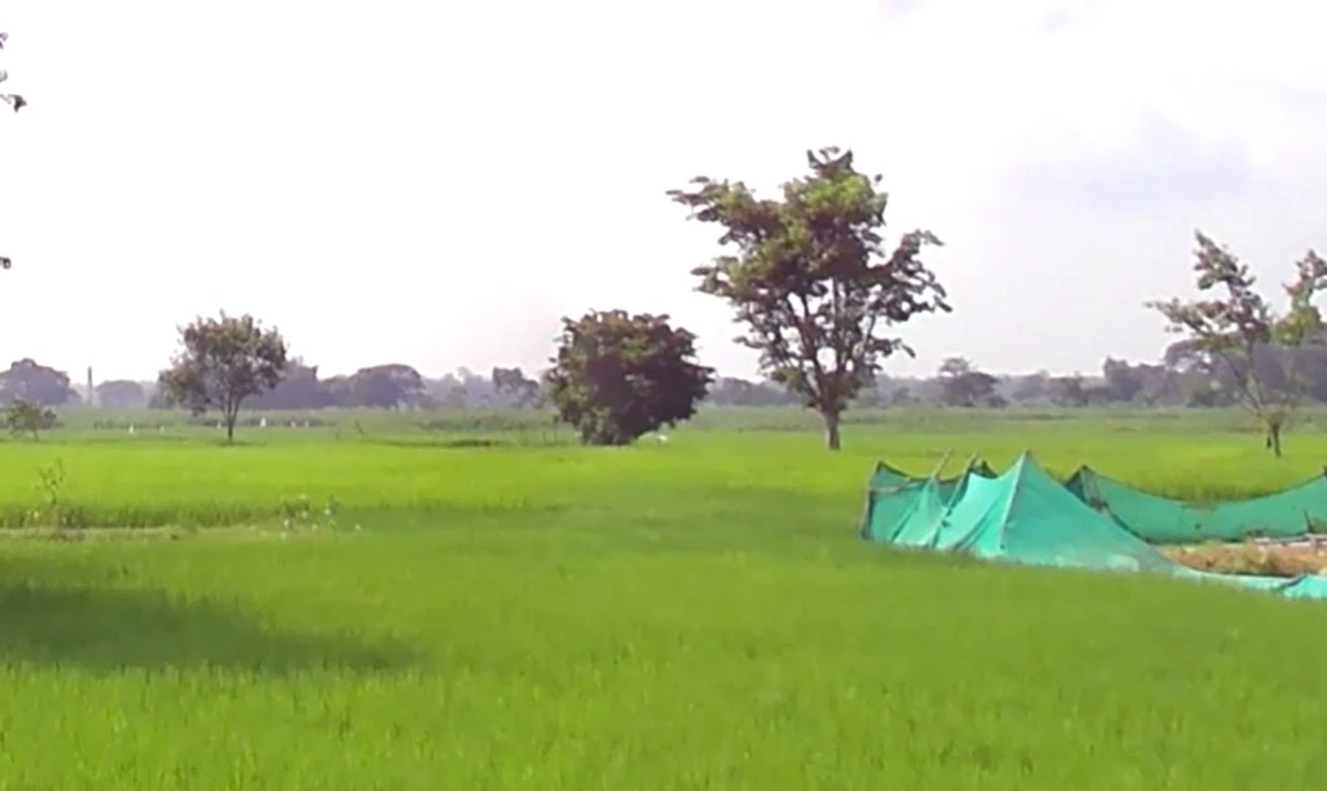 Jaora, Madhya Pradesh 457226, India